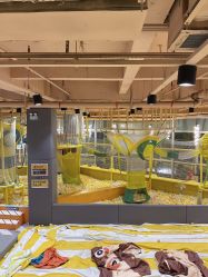 -反弹蹦床公园·运动乐园·团建·亲子派对(深圳观澜湖店)