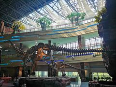 -安徽省地质博物馆