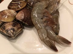 鲜白贝-东莞喜来登酒店-御园西餐厅·海鲜自助餐·意大利菜零点