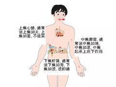 -鹤祥宫·影院足道·SPA连锁(苹果园店)