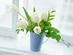 -新港湾大酒店-西餐厅