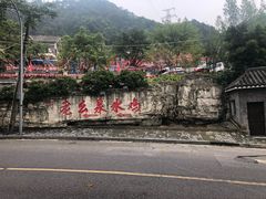 -老幺泉水鸡