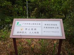 -天鹿湖森林公园