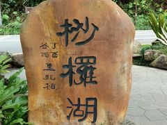 -深圳仙湖植物园