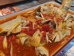 -红辣椒·川菜·火锅(张杨路店)