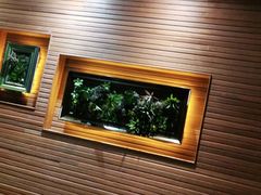 -前海沿·青岛菜(大拇指广场石老人店)