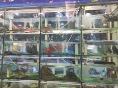 -青竹园海鲜餐厅(海天路店)