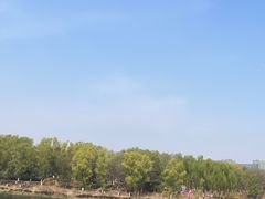 -大兴滨河森林公园