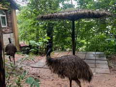 -昆明动物园