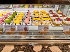 -夏佐CHASEL(横店康庄路店)