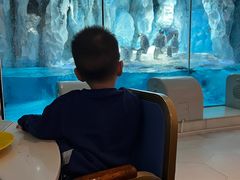 -帝企鹅自助餐厅•儿童岛•真企鹅(长隆企鹅酒店)