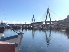 -悉尼鱼市场