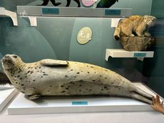 -国家自然博物馆