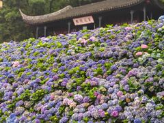 -苏州上方山国家森林公园