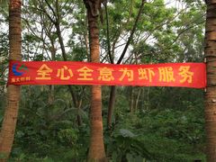 -东寨港红树林旅游区