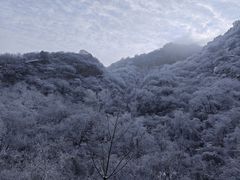 -秦岭终南山世界地质公园翠华山景区