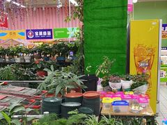 -大润发(张江店)