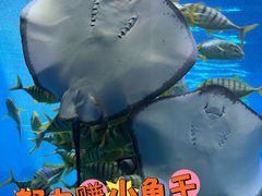 -泉城欧乐堡海洋极地世界