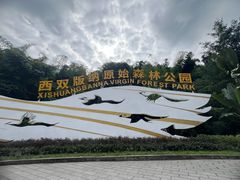 -西双版纳原始森林公园