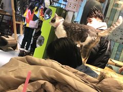 -小时光咖啡馆(开森度假森林店)