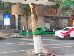 -常识咖啡common sense(春熙路店)