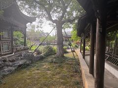 -芥子园