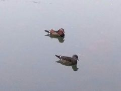-博雅塔