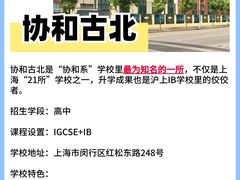 -菠萝国际教育专注Alevel·IGCSE·IB·AP·托福雅思培训辅导(静安校区)