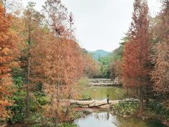 -云溪植物园