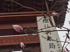 -三林塘老街