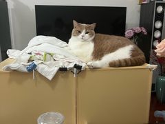 -剧狐剧本杀·月球探案馆(人民广场1号店)