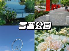 -香蜜公园