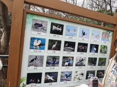 -合肥野生动物园