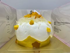 有新野·杨枝甘露蛋糕-福气鲜活面包·生日蛋糕