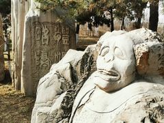 -鹦鹉寺公园
