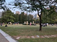 -四海公园(南山区)