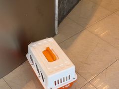 -瑞派申生动物医院·24H夜诊·国际动物医疗中心·骨外科(吴中路店)