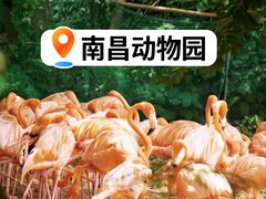 -南昌动物园