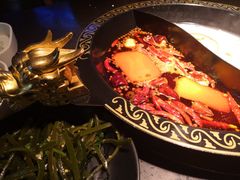 油鸳鸯锅-锅说大脸毛肚重庆老火锅(佐阾店)