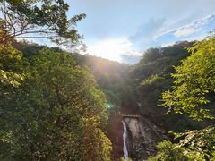 -广州白江湖森林公园