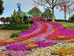 -东莞植物园
