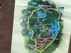 导游图-东海森林温泉