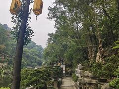 -大金鹰园