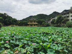 -地心探险极地