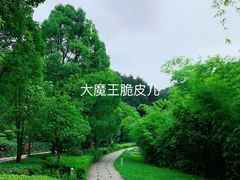 景点-阿哈湖国家湿地公园