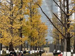 -百林公园-两江幸福广场