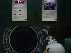 -世界恐龙谷景区