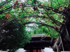 -素描餐厅(灵隐天竺店)