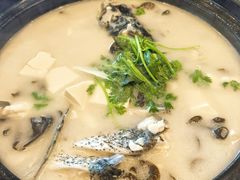 -老淳安—伴山伴湖(千岛湖开元度假村店)