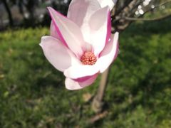 -重庆平顶山公园
